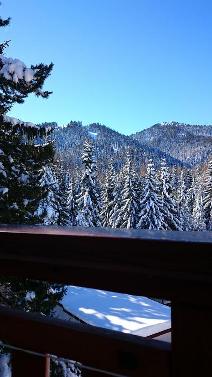Tes Rila Park Apartments Borovets Habitación foto
