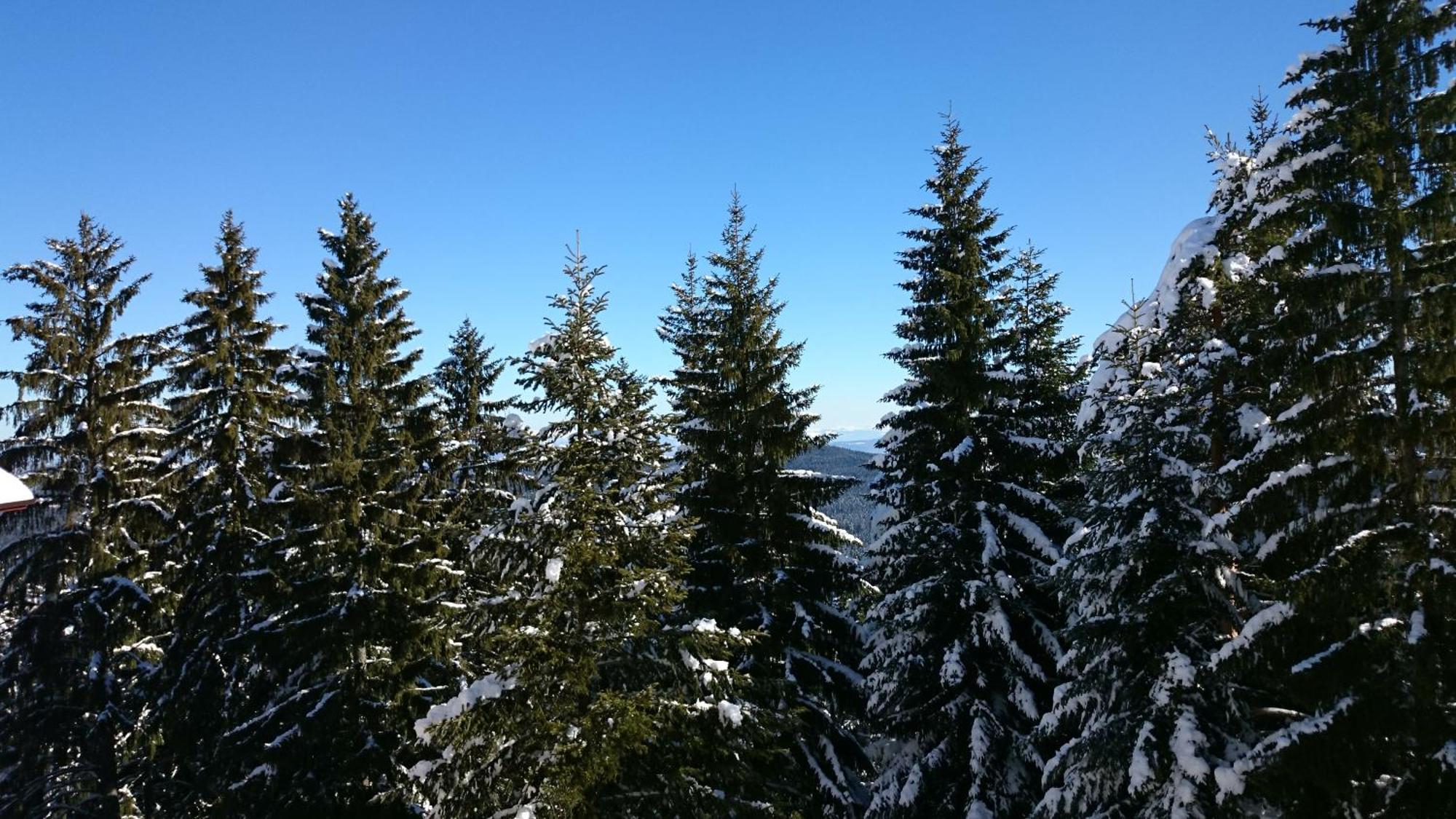 Tes Rila Park Apartments Borovets Exterior foto