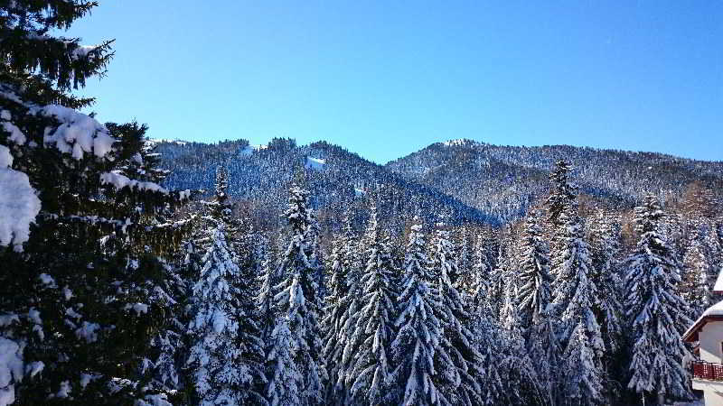 Tes Rila Park Apartments Borovets Exterior foto